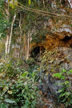 kireçtaşı Mağarası, laos