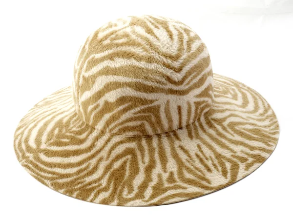 Sombrero aislado en blanco — Foto de Stock