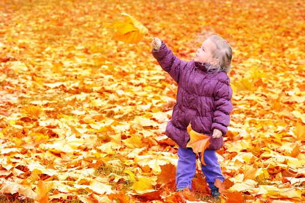 Adorable toddler girl with autumn leaves — Stock Photo, Image