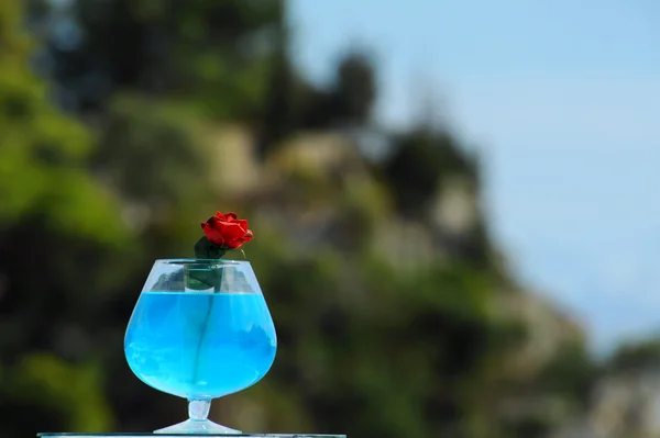 stock image Vase with blue water and red rose