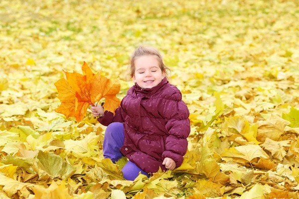 Adorable toddler girl with autumn leaves — Stock Photo, Image