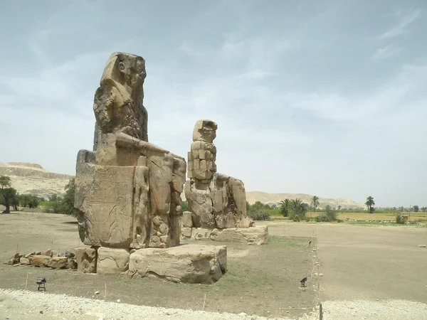 Colosses de Memnon — Photo
