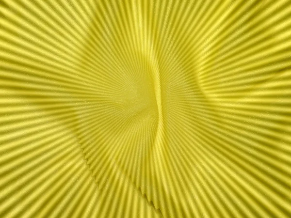 Abstrato amarelo — Fotografia de Stock