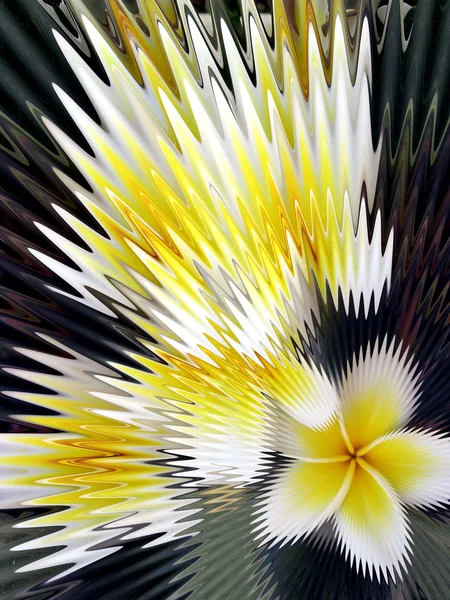 Gelbe Blüten abstrakt — Stockfoto