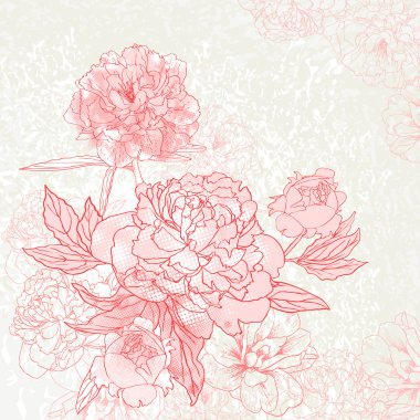 Peony background clipart