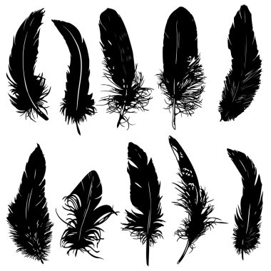 Feathers silhouette. clipart