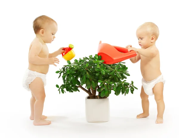 Zwei Kinder, die gemeinsam eine Pflanze gießen. — Stockfoto