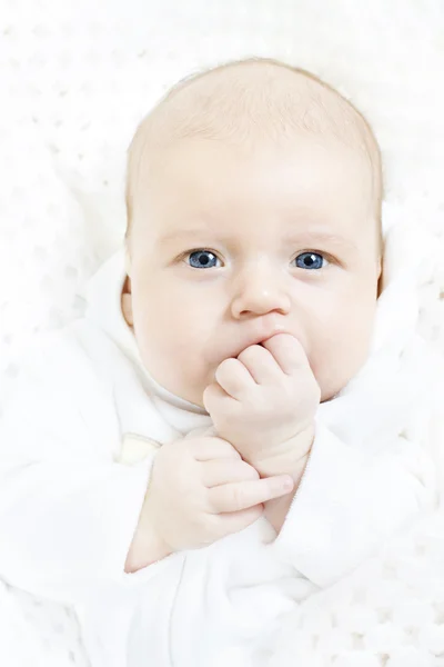 Neonato ritratto primo piano su sfondo bianco morbido. Indigo — Foto Stock