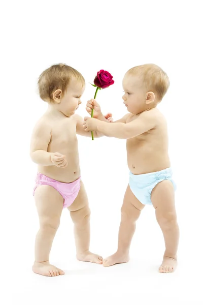 Baby boy present rose flower to a baby girl. Children wear color — Stock Photo, Image