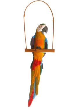 Earthenware parrot on bamboo stand clipart