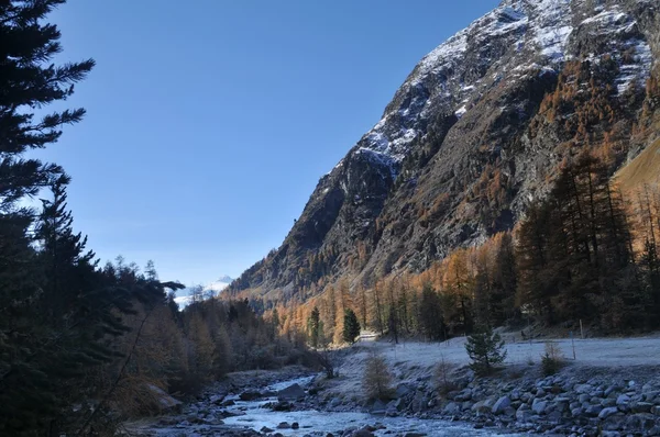 Górski krajobraz z rzeką w val roseg, Szwajcaria — Zdjęcie stockowe