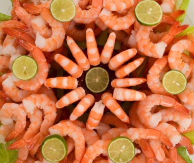 Shrimp clipart