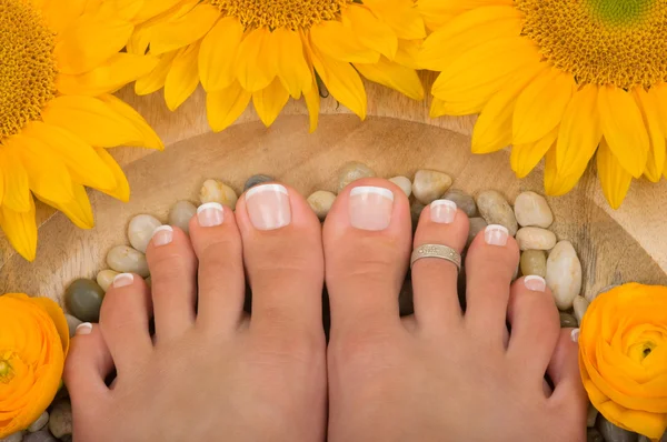 Pedicura — Foto de Stock