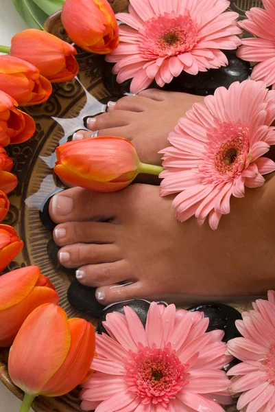 Spa-behandling med aromatiska rosor, kronblad och ljus — Stockfoto