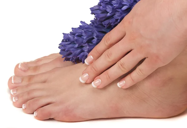 Pedicured fötter, manikyrerade händer och aromatiska blommor i ett spa — Stockfoto