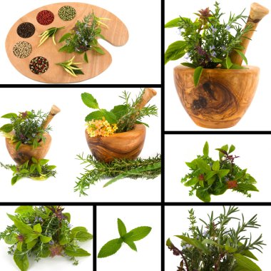 Herb Collage clipart