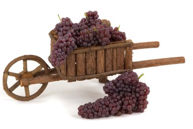 Gourmet champagne grapes in a miniature wheelbarrow clipart