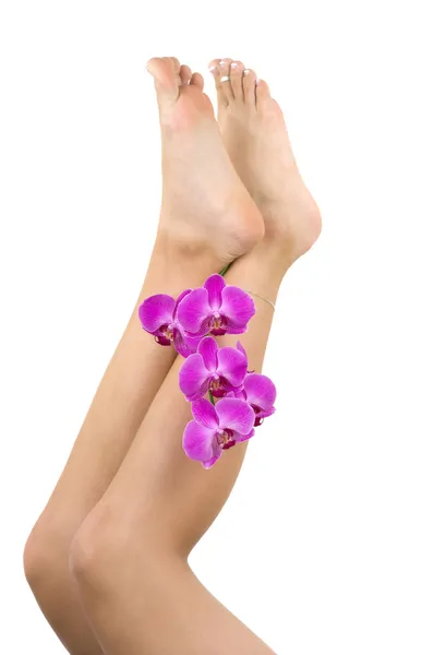 Pedicured voeten en orchideeën — Stockfoto