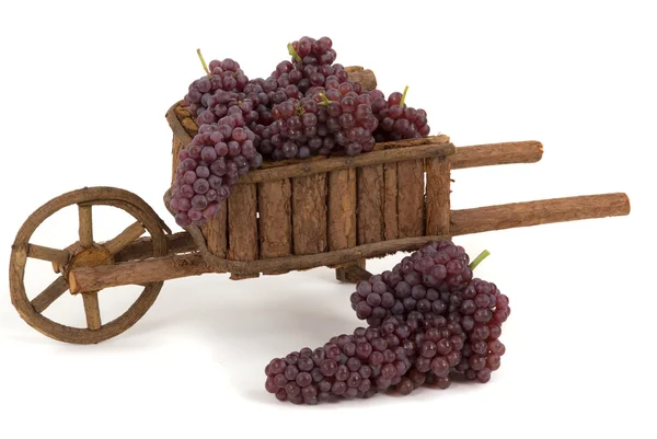 Gourmet champagne grapes in a miniature wheelbarrow — Stock Photo, Image