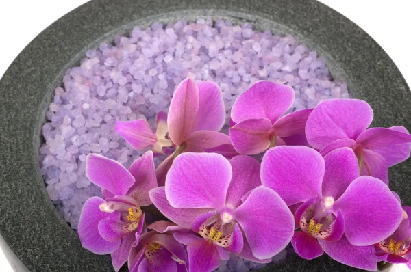 Соль и орхидея — стоковое фото