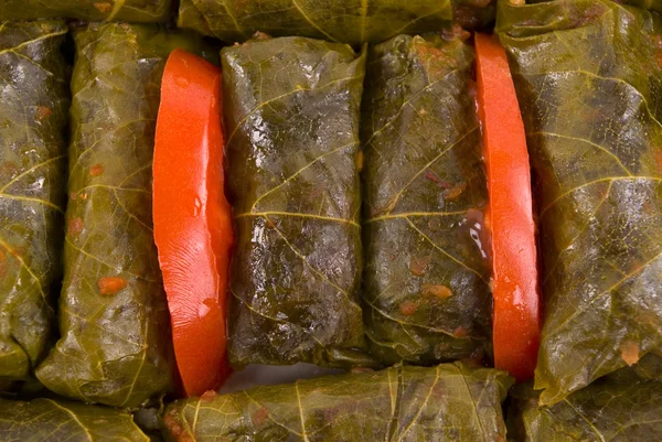 stock image Mediterranean Stuffed Grape Leaves