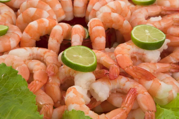 Gourmet large shrimp cocktail with cocktail sauce, lime and lettuce — Stock Photo, Image