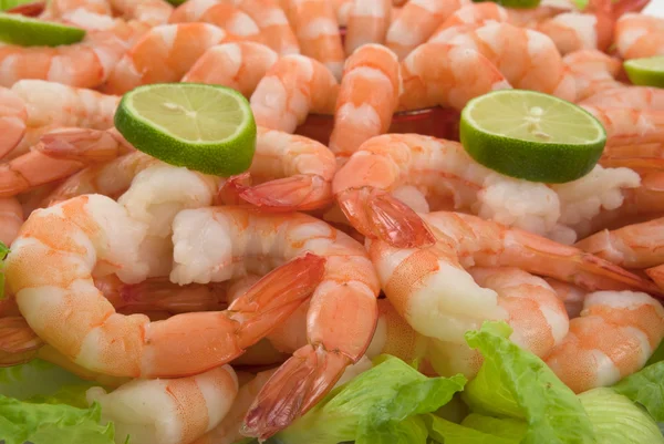 Gourmet large shrimp cocktail with cocktail sauce, lime and lettuce — Stock Photo, Image