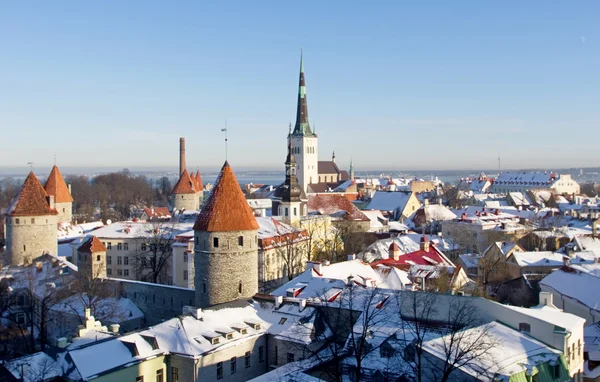 stock image Old Tallinn