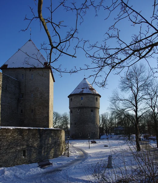Antiguo Tallin — Foto de Stock