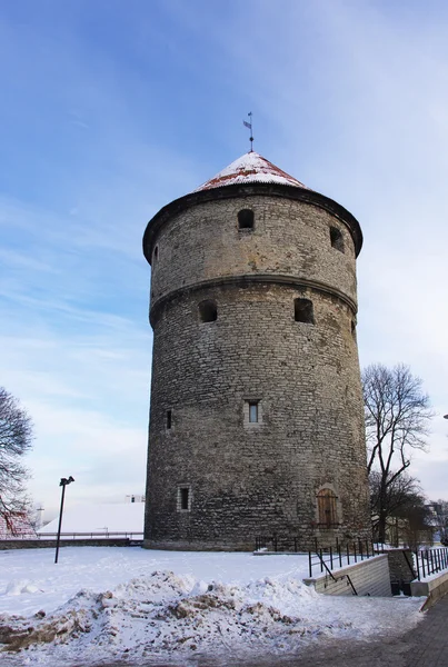 Velho Tallinn — Fotografia de Stock