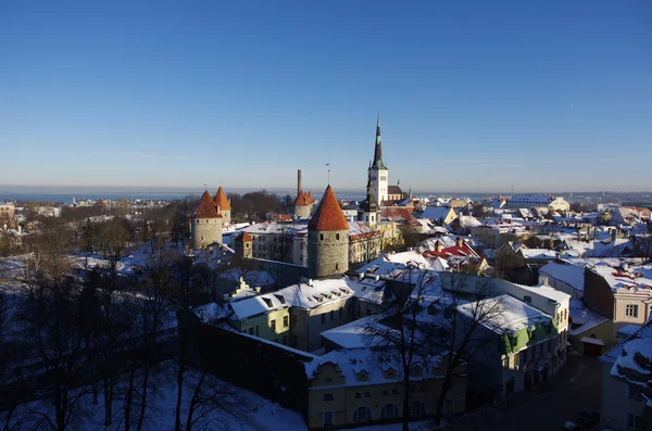 stock image Old Tallinn