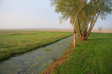 veneto kırsal manzara