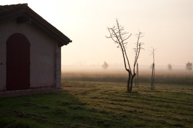 Landscape of the Veneto countryside at dawn clipart