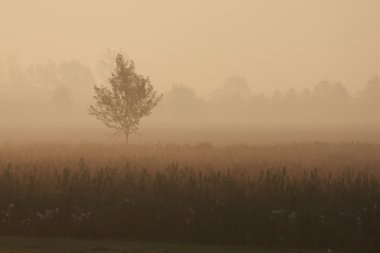 Şafakta veneto kırsal manzara