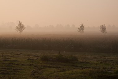 Şafakta veneto kırsal manzara