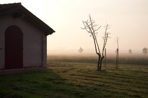 stock image Landscape of the Veneto countryside at dawn