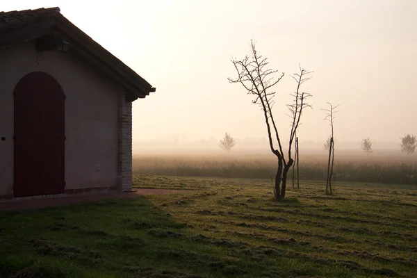 새벽에 베네토 시골의 풍경 로열티 프리 스톡 사진