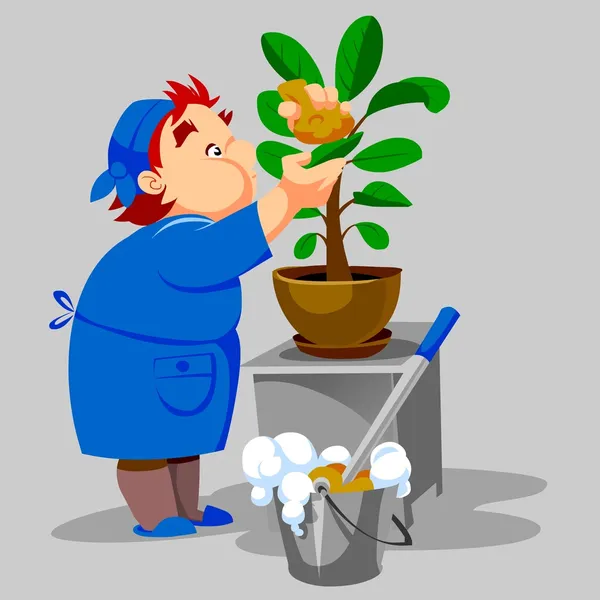 Temizlikçi kadın yıkar houseplant — Stok fotoğraf