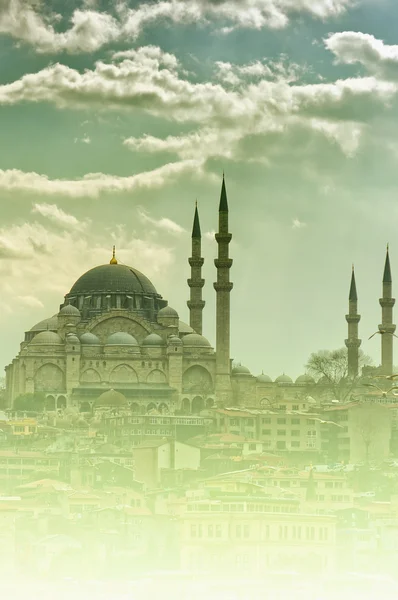 Mesquita Suleiman 04 — Fotografia de Stock