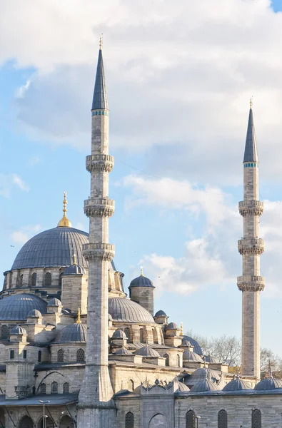 Yeni cammii moskee 13 — Stockfoto