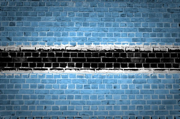 砖壁博茨瓦纳 — 图库照片