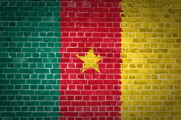 Muro di mattoni Camerun — Foto Stock