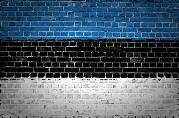 벽돌 벽 에스토니아 — 스톡 사진