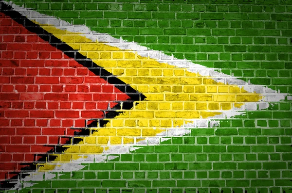 Цегляна стіна Гайана — стокове фото