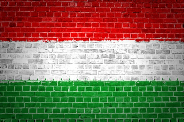 Bakstenen muur Hongarije — Stockfoto
