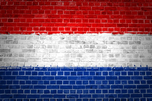 Brick Wall Paesi Bassi — Foto Stock