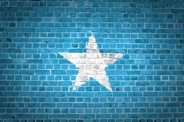 砖壁索马里 — 图库照片