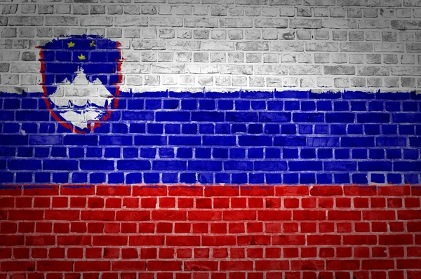 Кирпичная стена Словении — стоковое фото