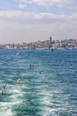 Galata bölgesi 01
