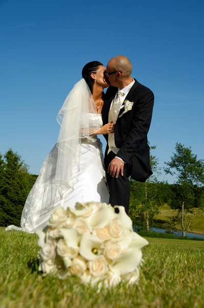 結婚式のカップルのキス ロイヤリティフリーのストック画像